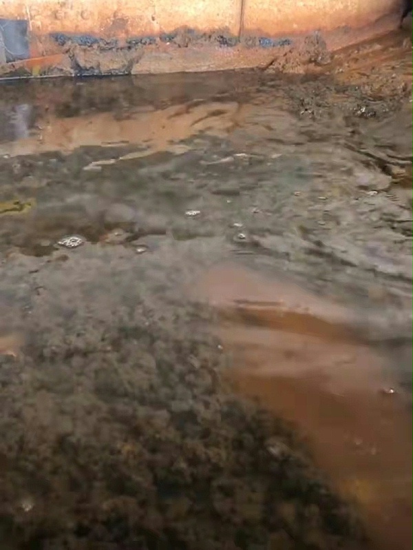 微信图片_20220206214357