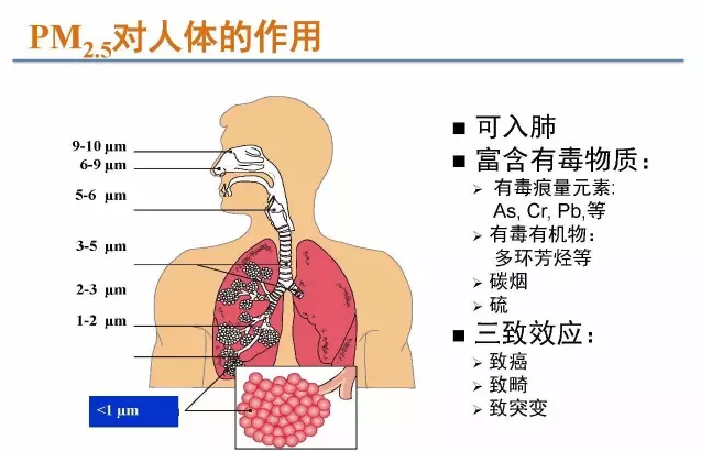 微信图片_20200207194407